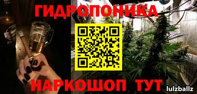 молекула духа Гусев