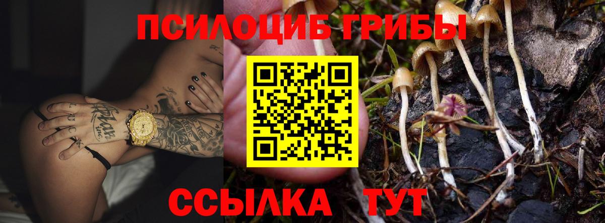 Истра  Галлюциногенные грибы мицелий  Вход с VPN 