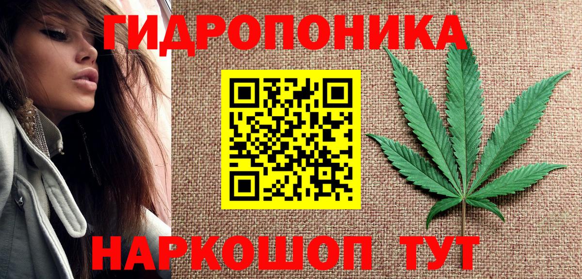 МАРИХУАНА OG Kush Истра